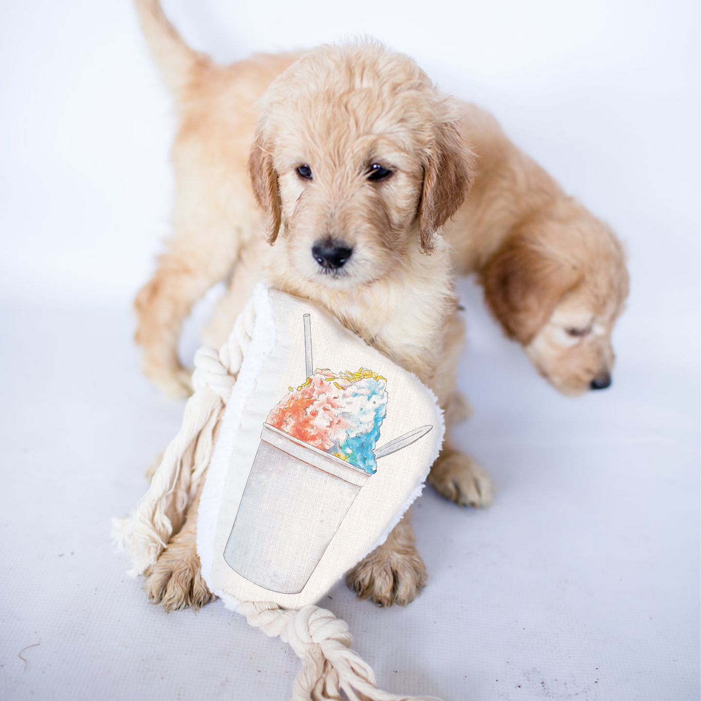 Snoball Dog Rope Toy-Rogue Magnolia Custom Designs