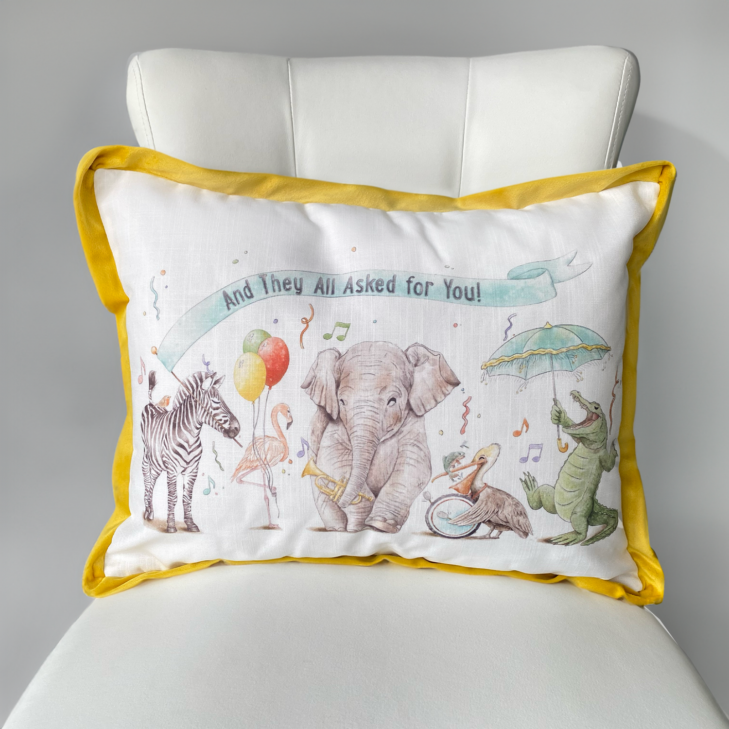 Throw Pillows and Nap Mats