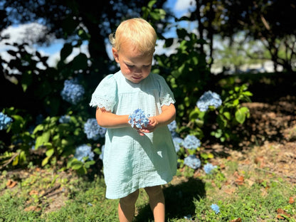 Laura Dress – Embroidered Aqua Butterfly