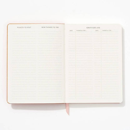 Light Pink Suede Journal